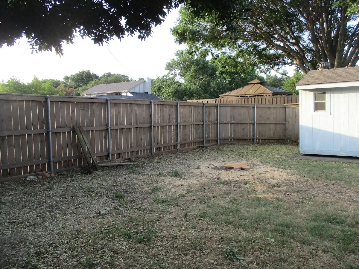 Cleared yard after professional tree removal in Peoa